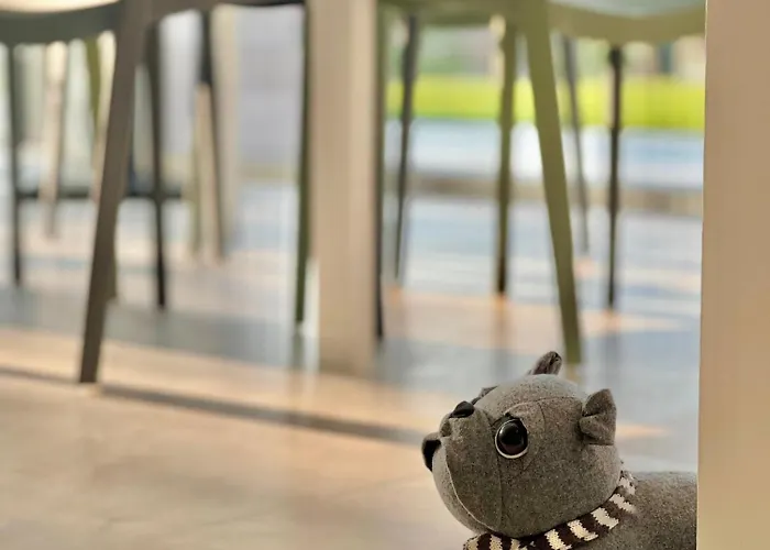 Welcome Traveller Tachele-nella Daire
